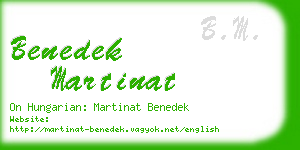 benedek martinat business card